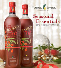 2012 Holiday Catalog